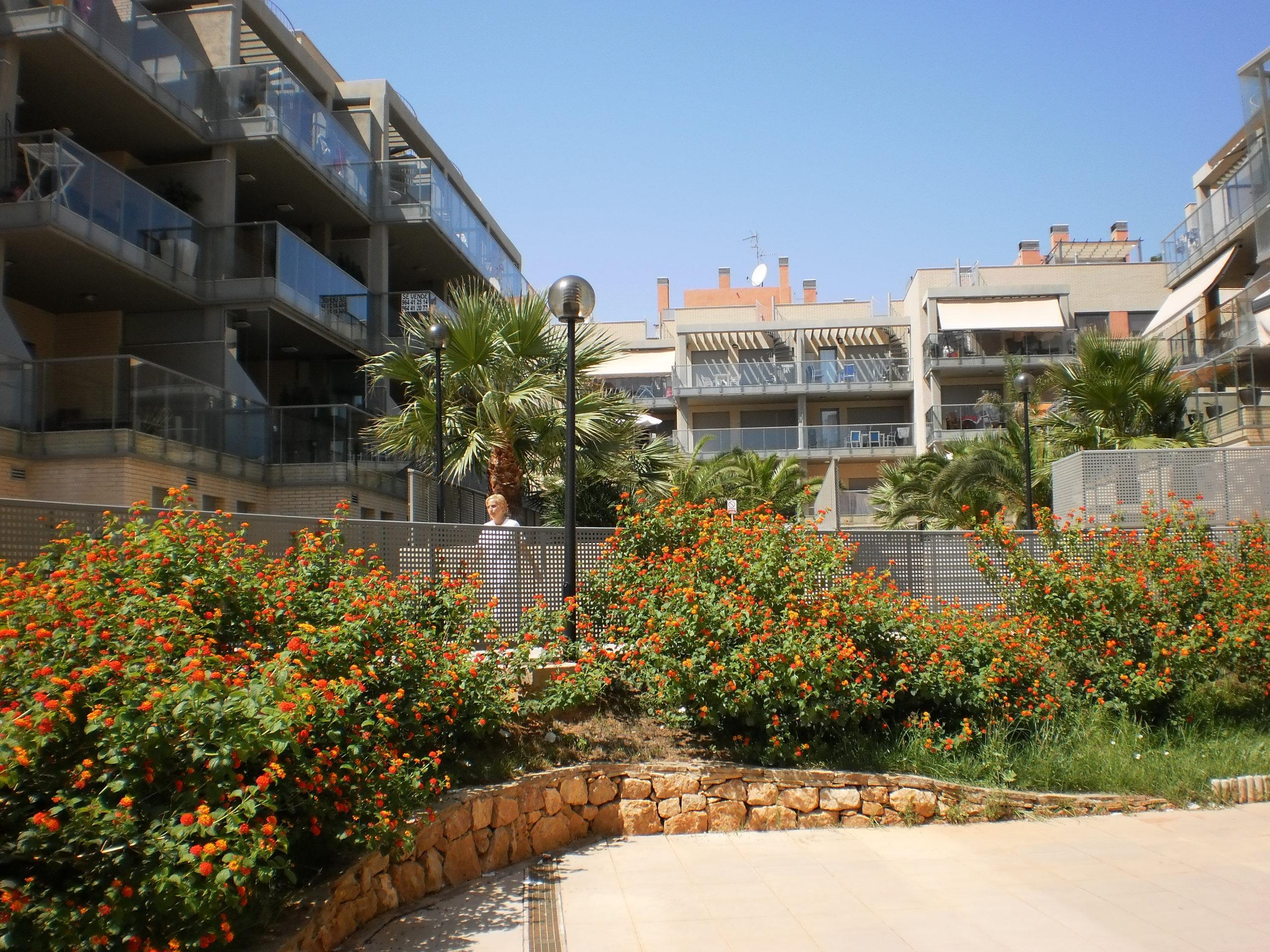 Alcocebre Suites Hotel Alcoceber Exterior photo